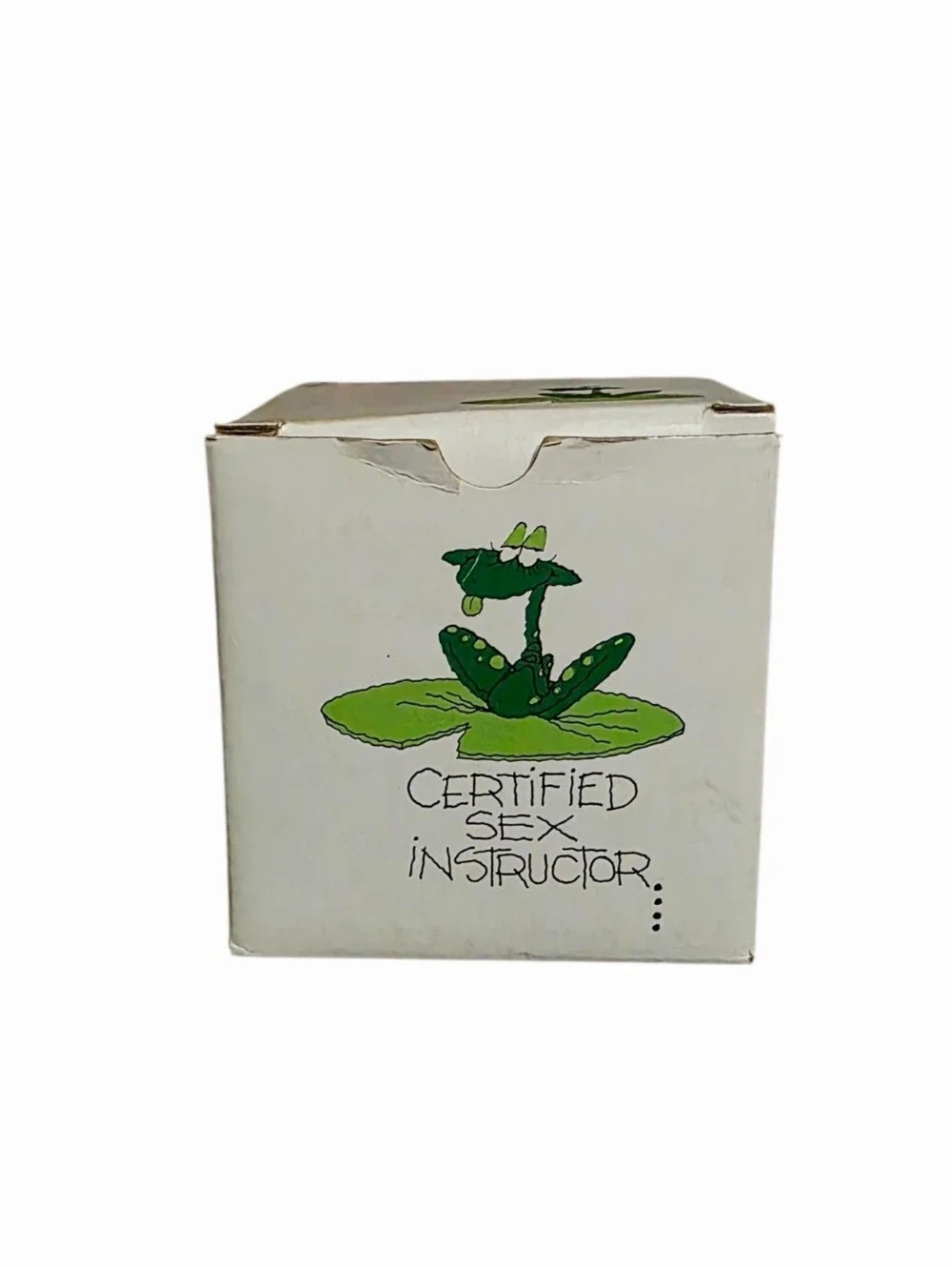 Russ Berrie Understatements 8311 Certified Sex Instructor Mug Korea 12oz NIB